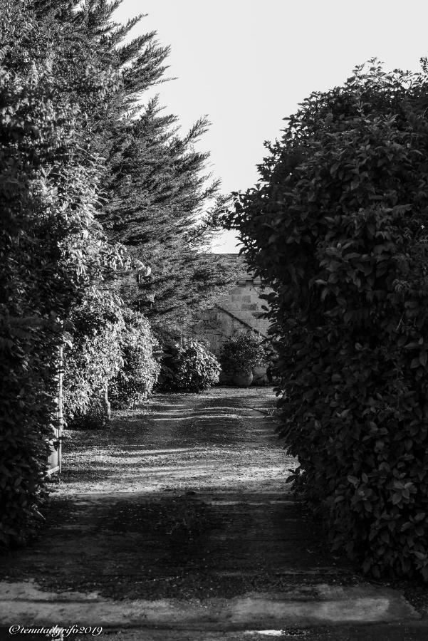 Tenuta Il Grifo Tiggiano Exteriör bild